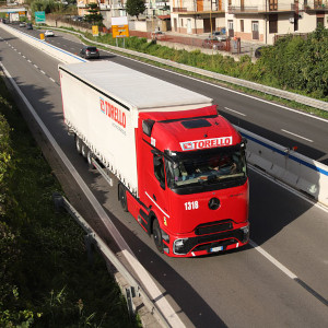 torello 1