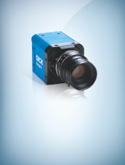 20180928 sick corpo1