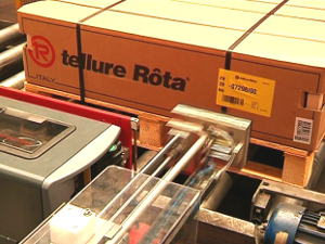 20141119-incas-corpo2