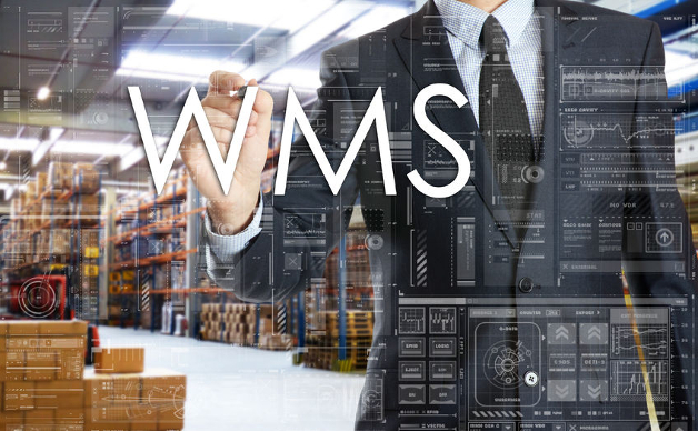 Il WMS di Savoye, lo strumento di crescita logistica di Riga