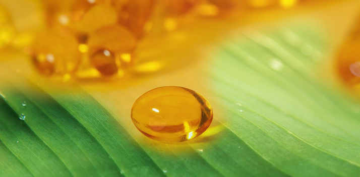 20220427 sedapta corpo