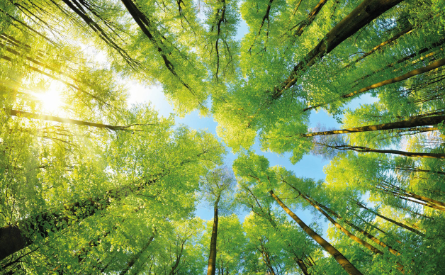 Nel 2022, Hörmann Italia ha sostenuto progetti di protezione del clima che hanno compensato 298 kg di CO2-equivalente