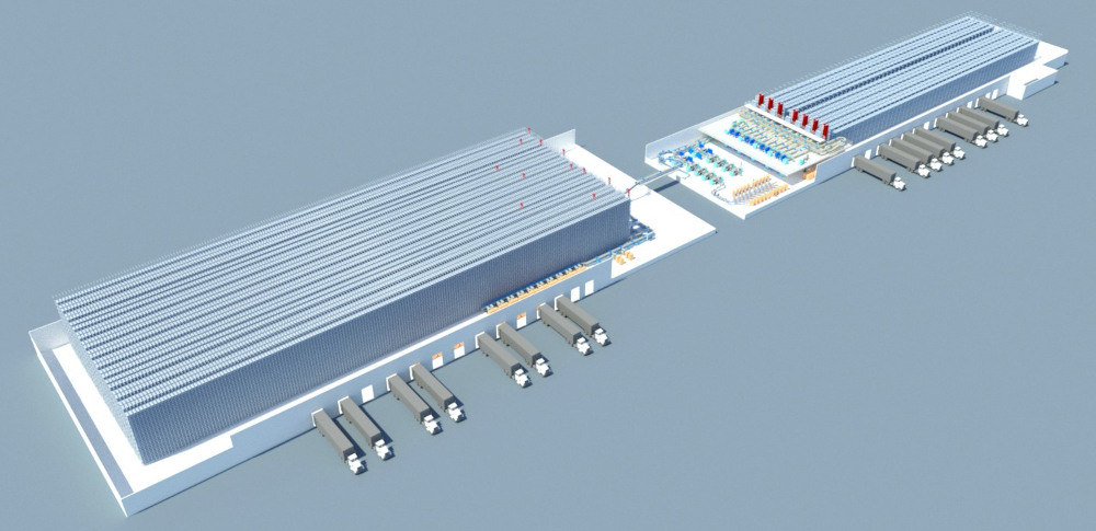 20241211 savoye corpo