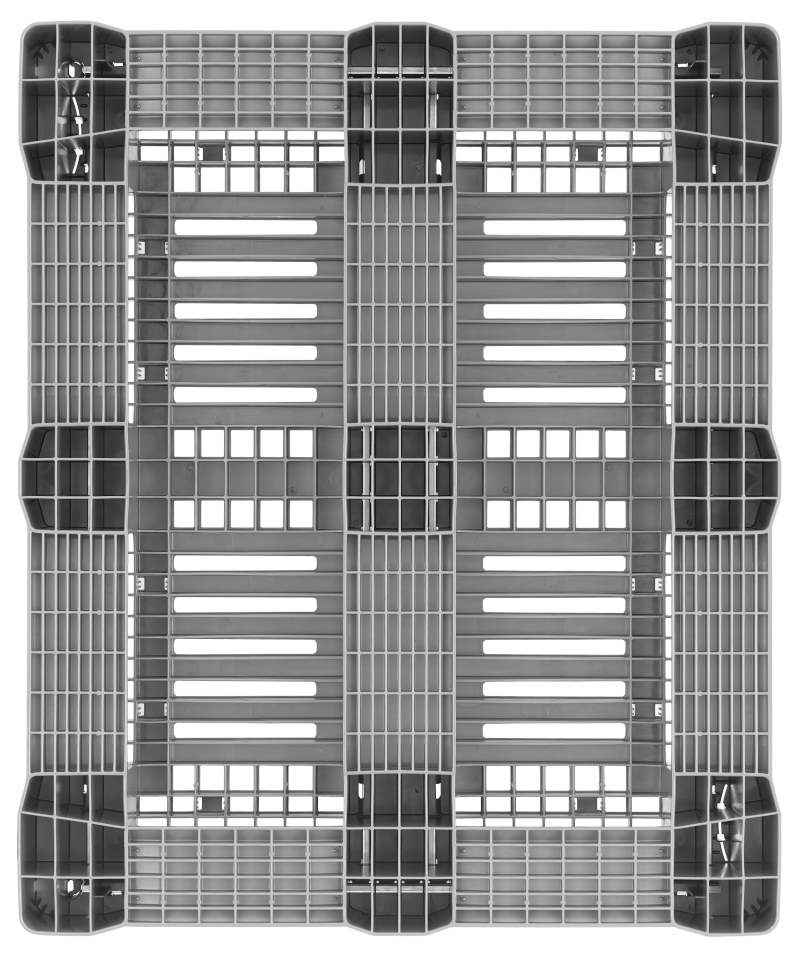 20250115 craemer corpo back
