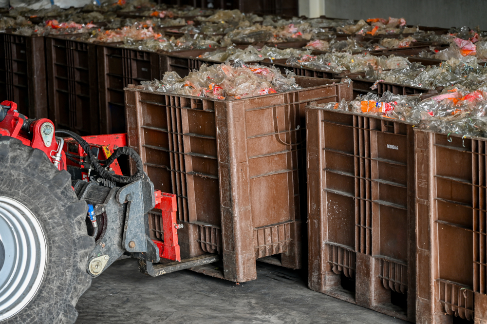 20260320 craemer corpo1