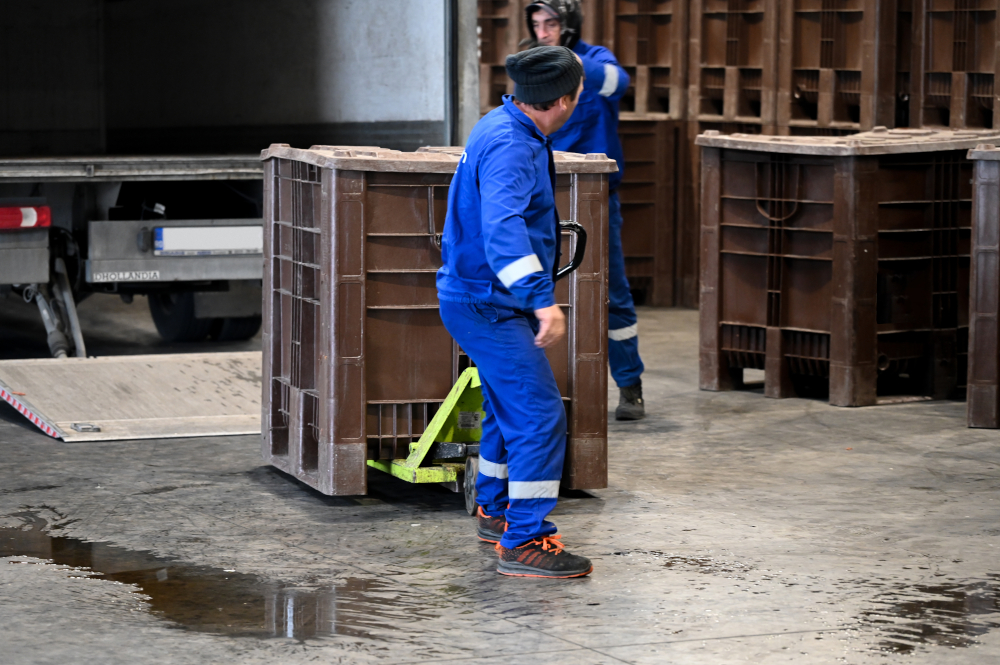 20260320 craemer corpo2