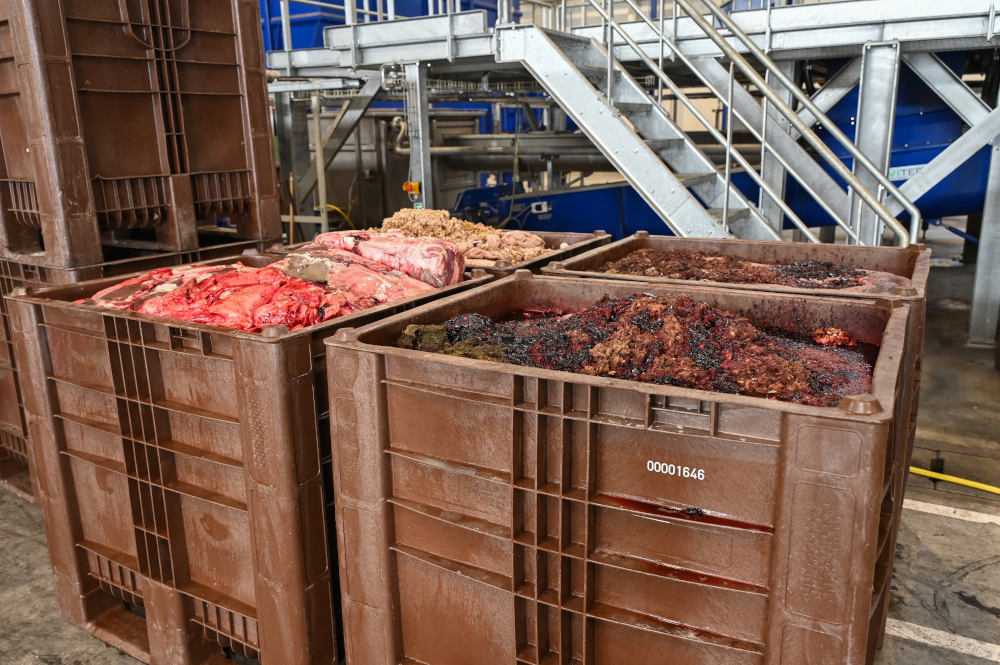 Rifiuti organici nel CB3 High: i residui organici dell'industria alimentare vengono raccolti nel palletbox e preparati per l'ulteriore trattamento. Foto: Gruppo Craemer 20260320 craemer corpo4