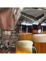 20181128 automha corpo1